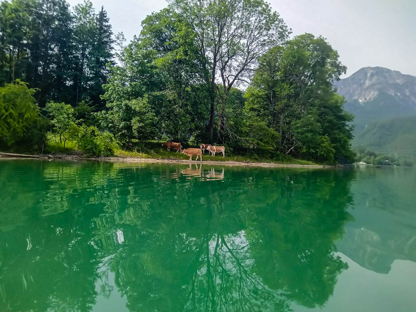 Kajaktour Kochselsee 19.06.2021